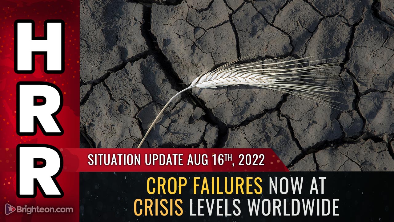 Der Ernteverlust ist weltweit bereits auf KRISE-Niveau, da die UN den Dngemitteln den Krieg erklrt
