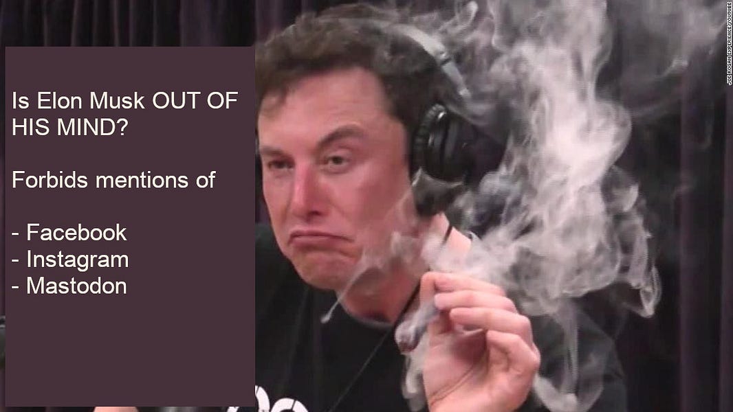 Has Elon Musk lost his mind?
