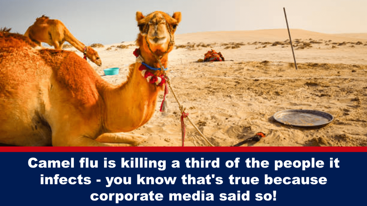 Camel flu kills a third of the people it infects - you know it's true because the corporate media said so!