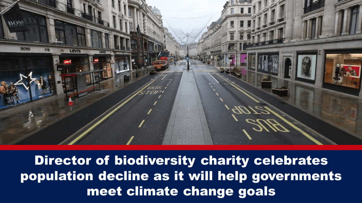 The director of a biodiversity charity is celebrating population decline