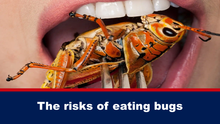 The risks of eating bugs
