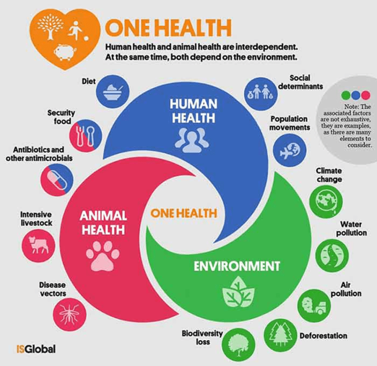 The WHO Digital Health Certificate is a step towards making WHO a One World Government powerhouse