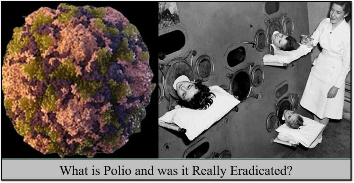 What is polio and has it really been eradicated?