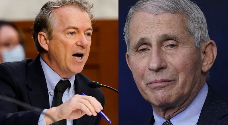 Rand Paul: Fauci should go to jail for Covid dishonesty