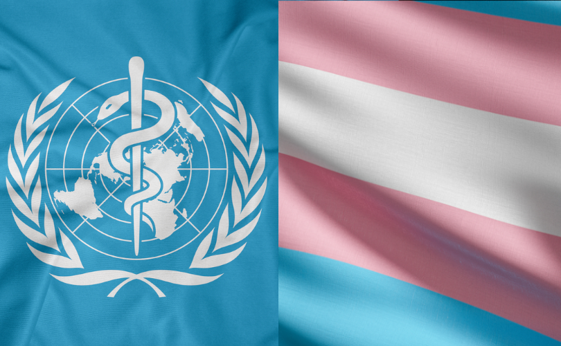 WHO appoints transgender activists to children's health care regulatory body