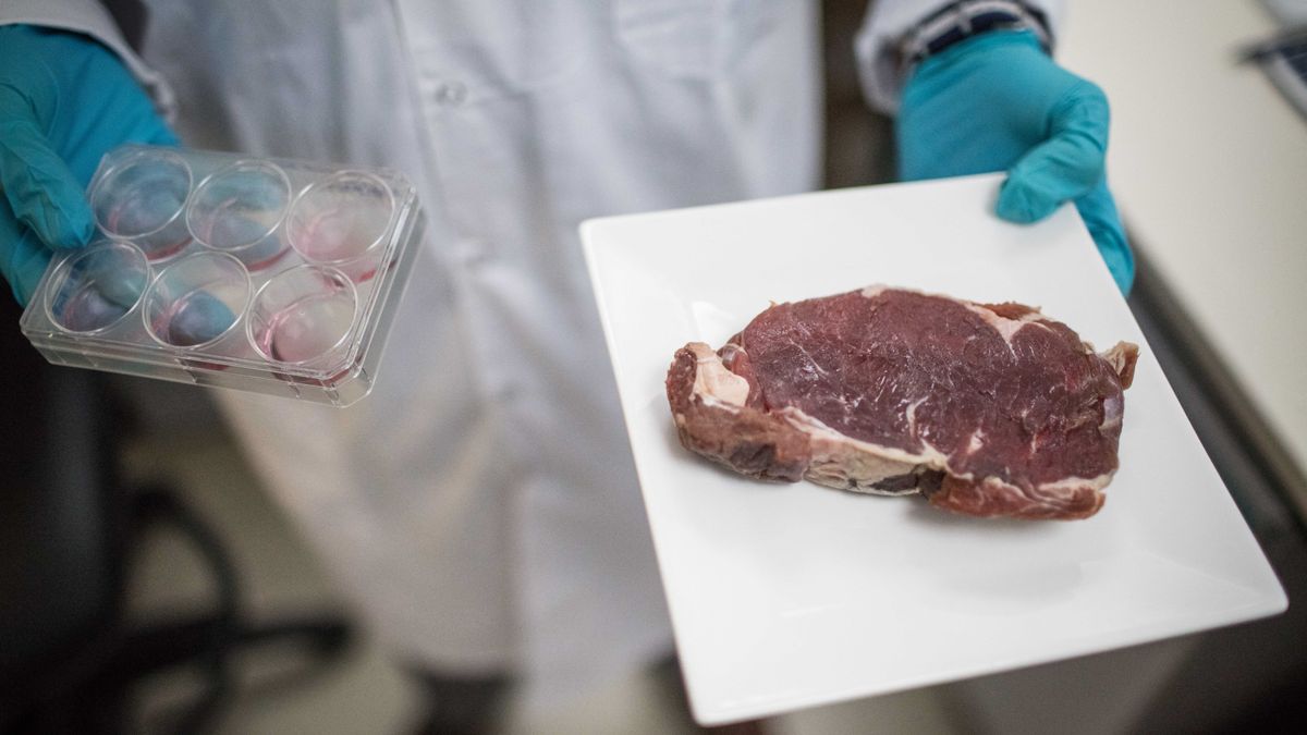 Laboratory meat will not be part of Europe's future