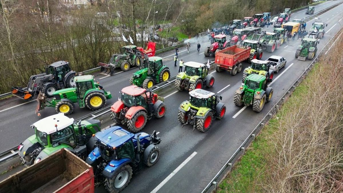 The French farmers have also started: the new demonstrations are here