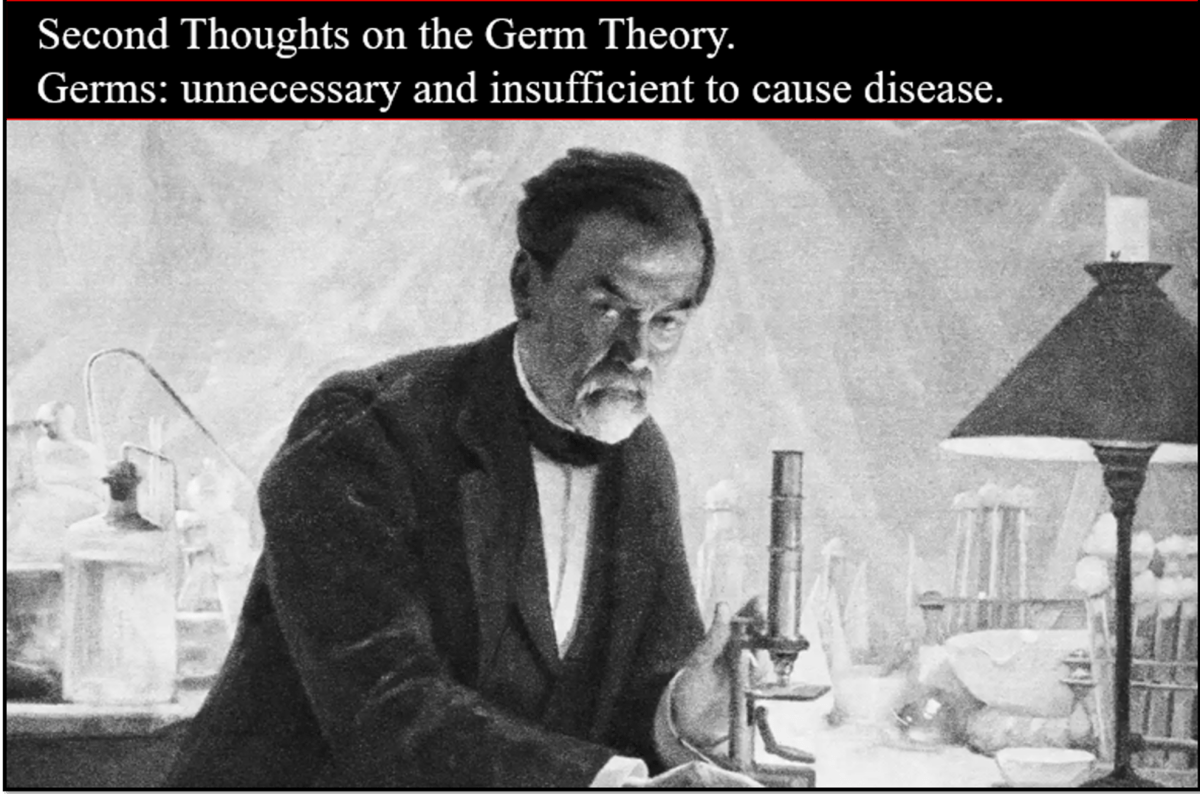 Other thoughts on the germ theory