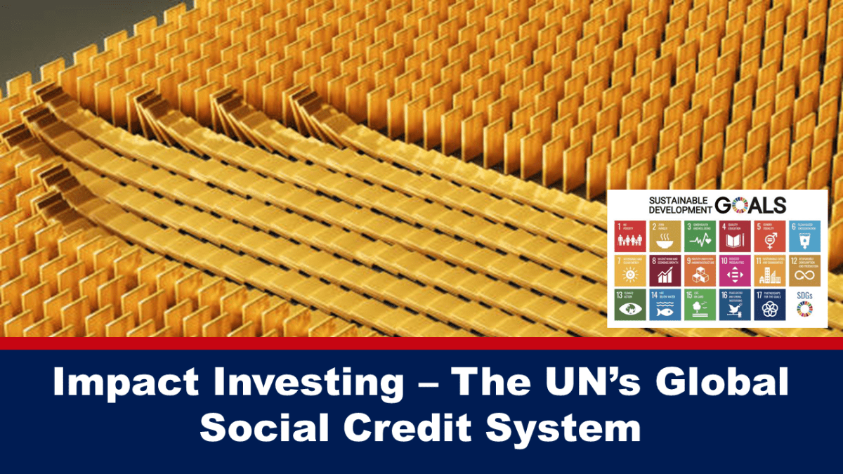 Inversin de impacto: el sistema global de crdito social de la ONU