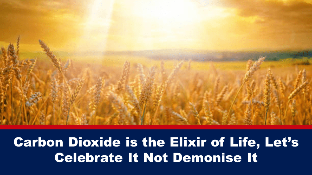El dixido de carbono es el elixir de la vida, ¡celebrmoslo, no lo satanicemos!