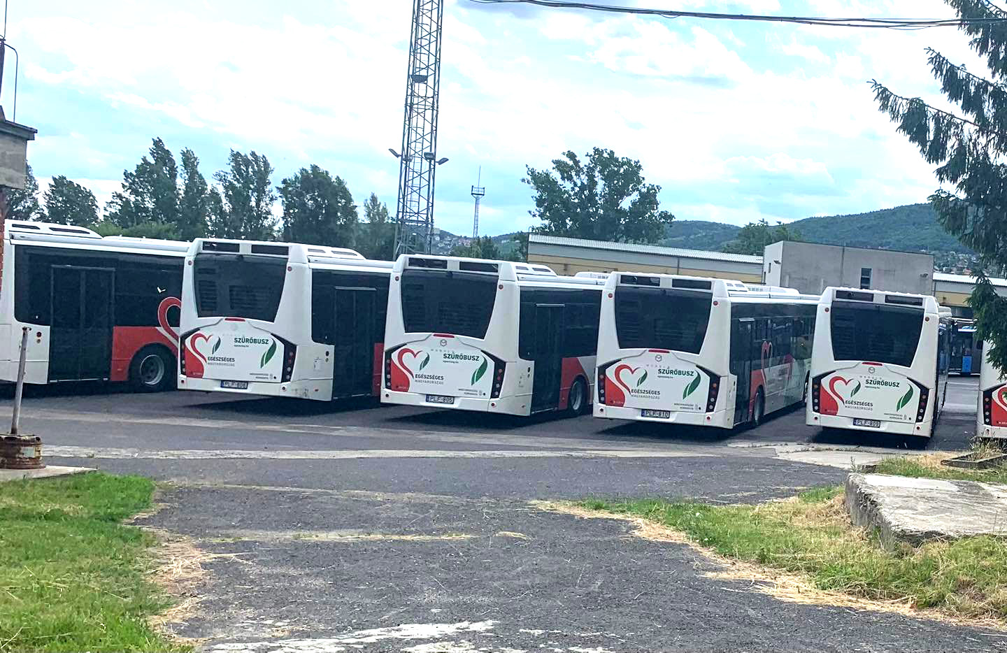 A raz de los autobuses perdidos