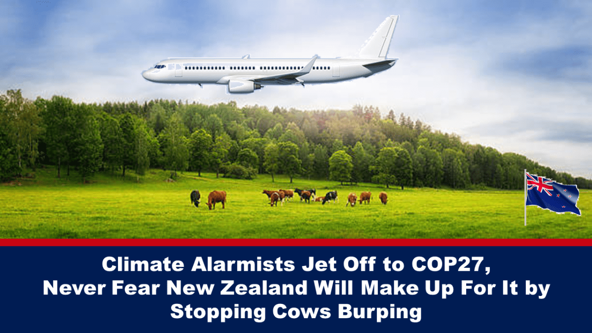 Los gritos climticos viajan a la COP27, nunca teman que Nueva Zelanda lo compensar haciendo que las vacas dejen de eructar