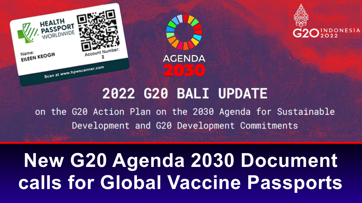 El nuevo documento de la Agenda 2030 del G20 pide pasaportes mundiales de vacunacin