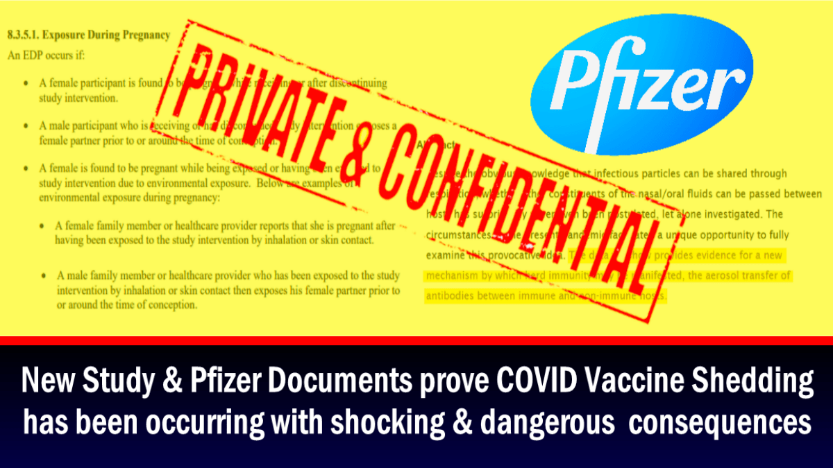 새로운 연구와 화이자의 문서는 COVID 백신의 확산이 충격적인 결과를 가져왔다는 것을 증명합니다