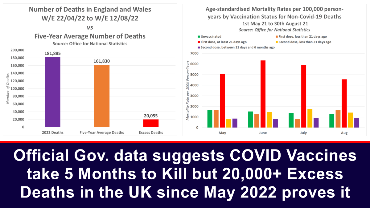 Согласно официальным правительственным данным, вакцинам против COVID требуется 5 месяцев, чтобы убить, но с мая 2022 года в Великобритании было зарегистрировано более 20 000 дополнительных смертей, чтобы доказать это.