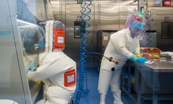 Уханьская лаборатория генетически манипулировала смертельным вирусом Нипах, свидетельствовал эксперт на слушаниях в Сенате