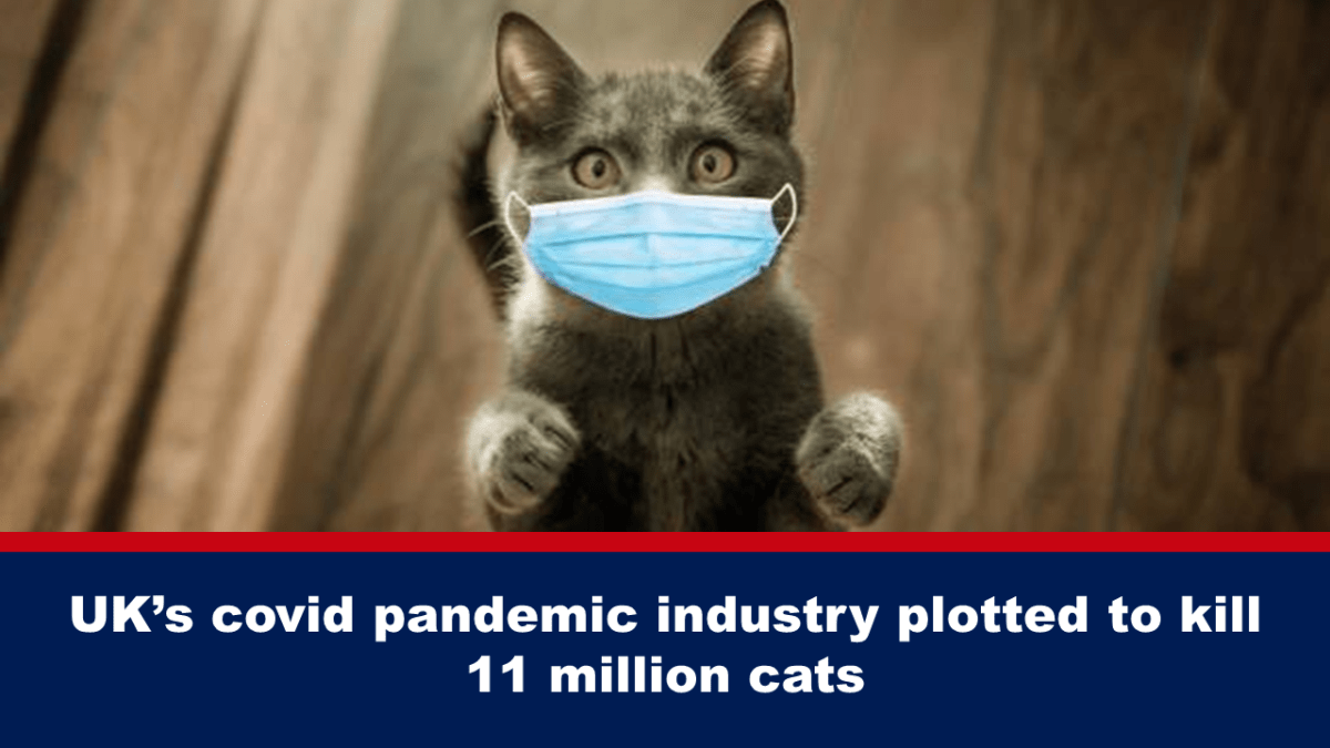 Plano ng British Covid Pandemic Industry na pumatay ng 11 milyong pusa