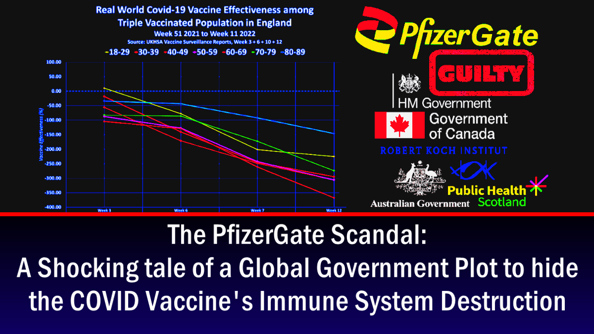 辉瑞门丑闻：全球政府密谋掩盖 COVID 疫苗破坏免疫系统的影响的令人震惊的故事